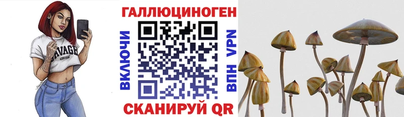 Галлюциногенные грибы Cubensis  Агрыз 